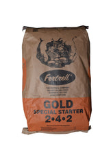 Gold Special Starter 2-4-2