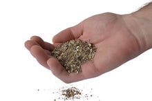 Gold Special Starter 2-4-2