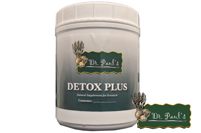 Detox Plus Bolus (Dr. Paul's Lab)